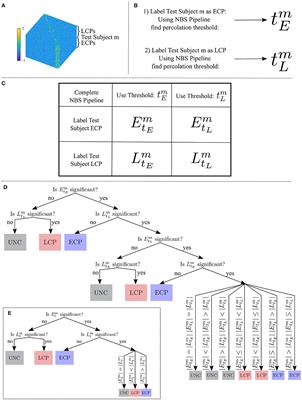 Classification of human chronotype based on fMRI network-based statistics